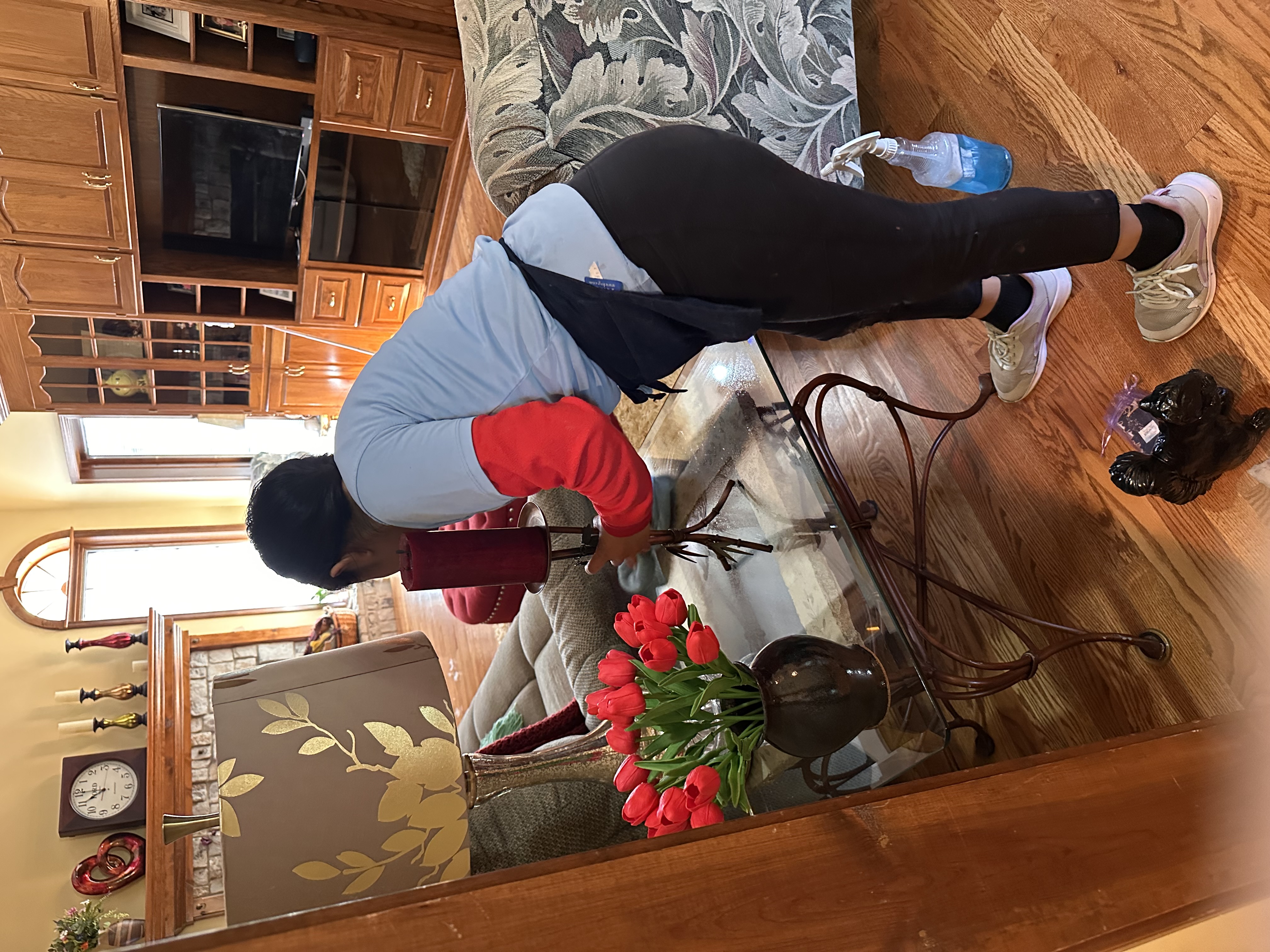 Professional cleaning team at work